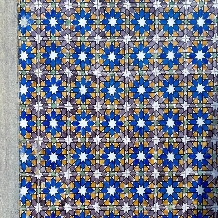 Azulejo Tile, Cobalt Carnation