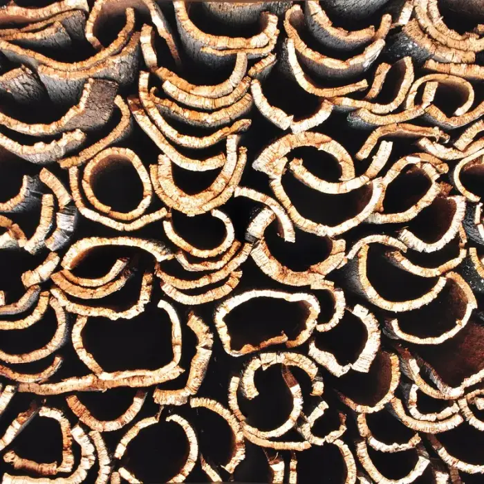 Cork, the bark Portugal harvests every nine years